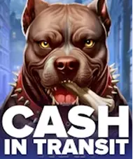 Cash in Transit